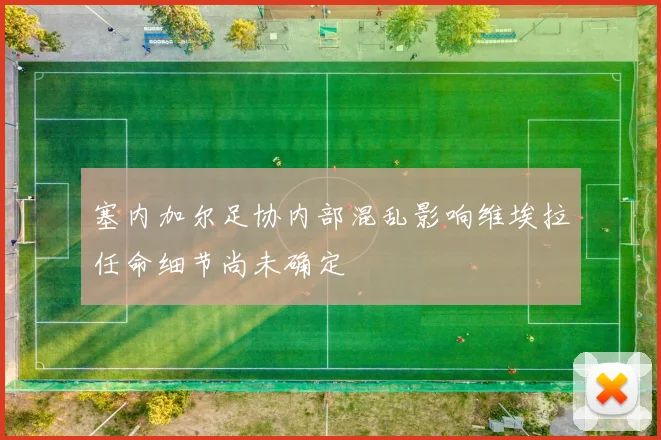 塞内加尔足协内部混乱影响维埃拉任命细节尚未确定